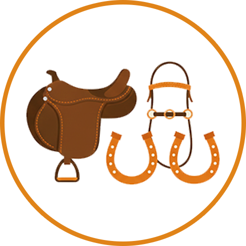Horse Accessories